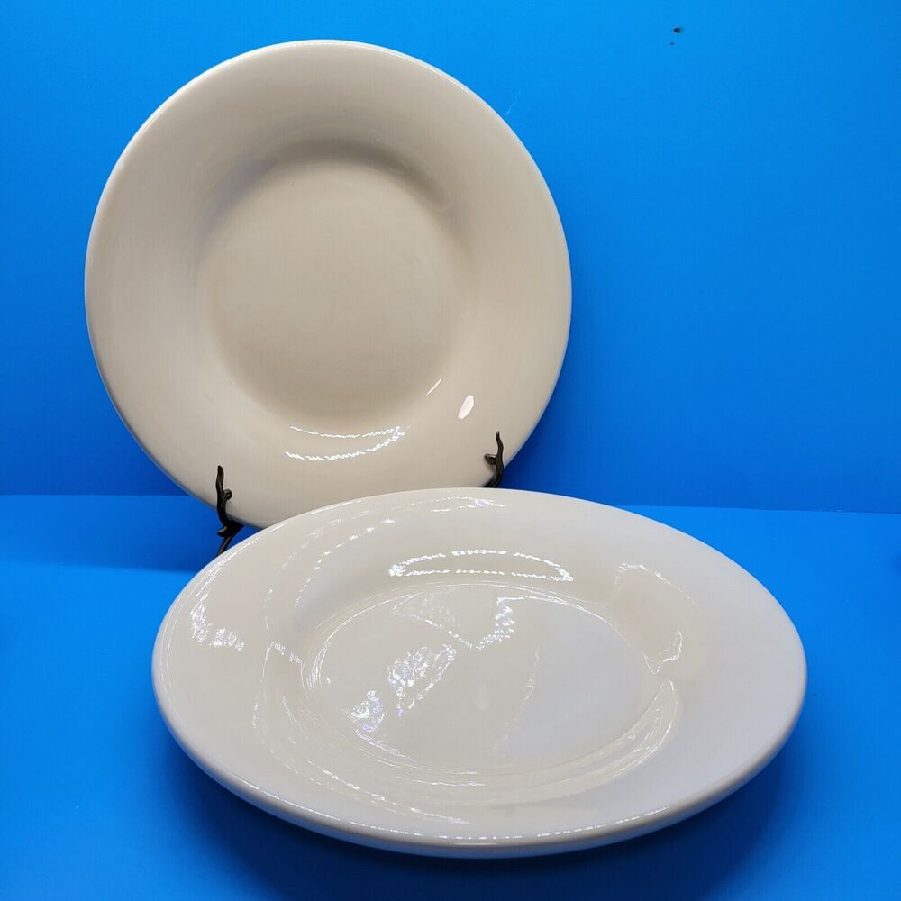 Pottery Barn Sausalito Natural 12 1/4" Dinner Plates Set of 2